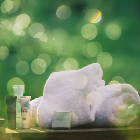 Neuf Skis Aux Pieds, 4 Pers, Moriond, Balcon, Parking, Wifi - Fr-1-631-131 *